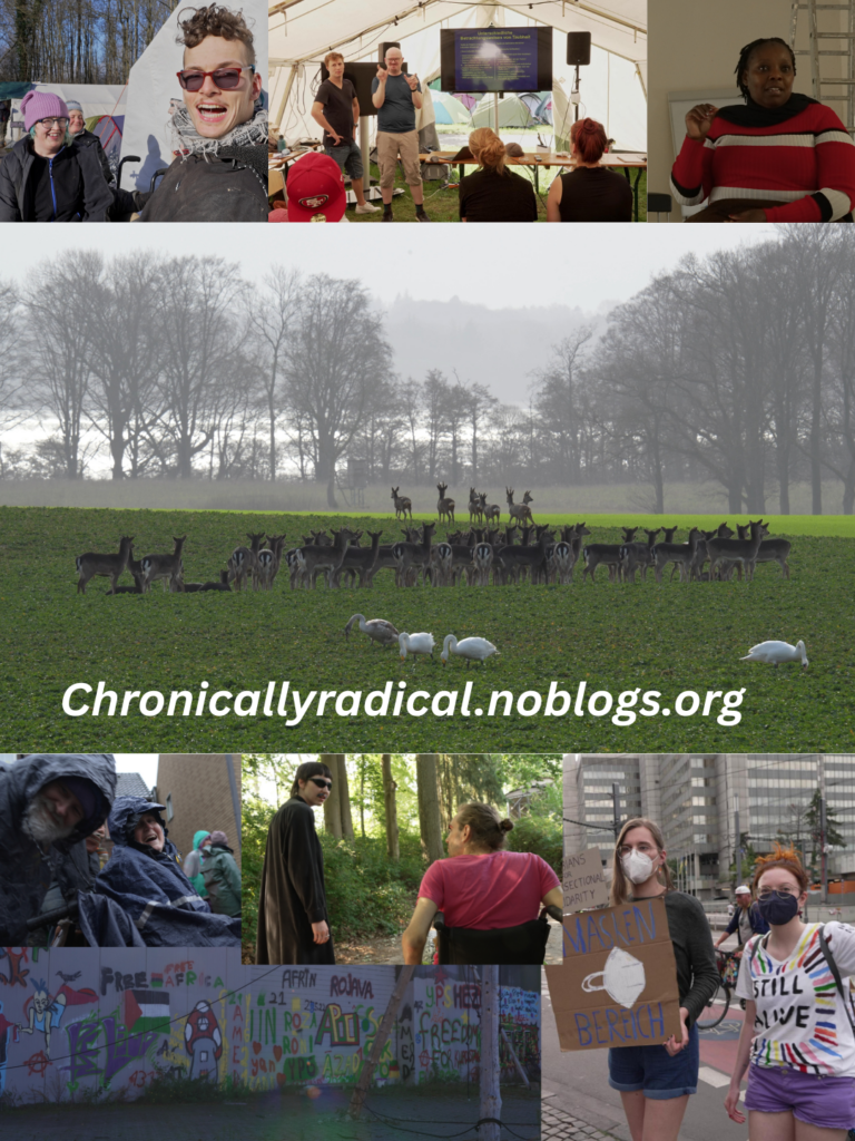 chronicallyradical.noblogs.org, Fotokollage mit Stills aus dem FIlm. Eine grosse Gruppe Rehe auf einer gruenen Wiese, dahinter ein glaenzender See und hohe Baeume, im Vordergrund 4Schwaene. Darunter ein Bild von einem weissen Mann mit weissem Bart der laechelt neben einer weissen Rollstuhlfahrerin, beide in blauer Regenmontur. EIne bemalte Wand: "free Afrika, Palestinaflagge, ein Pilzbild, Apo, Afrin, Rojava, freedom for Kurdistan, YPG. Eine weisse Person mit schwarzem Mantel und angeklebten Bart und Sonnenbrille, Daneben ein Mensch im pinken Tshirt im Rolli. Zwei maskierte Demonstrant*innen mit Schild "Maskenbereich", eine weisse Person mit Sonnenbrille und Kuffiyeh, dahinter eine weisse Person mit lila Muetze und blauen Haaren, 2 gebaerdende Menschen vor einem Monitor und Publikum, eine Schwarze Frau mit kurzen Dreads im rot weiss schwarzen RIngelpulli.